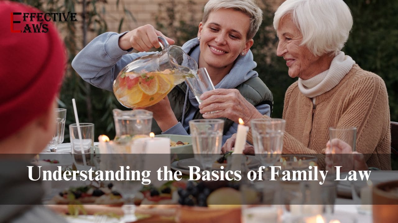 Understanding the Basics of Family Law