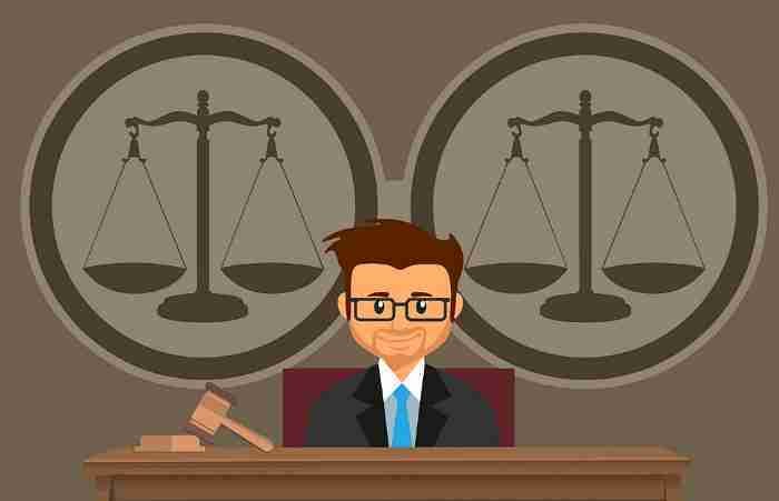 Revenue Officers | Classes and Powers, meaning of revenue officer