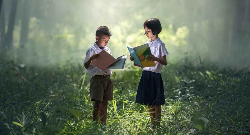 Right To Education as A Blessing in Disguise In Nature