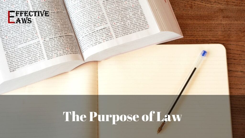 What is the purpose of a Law?