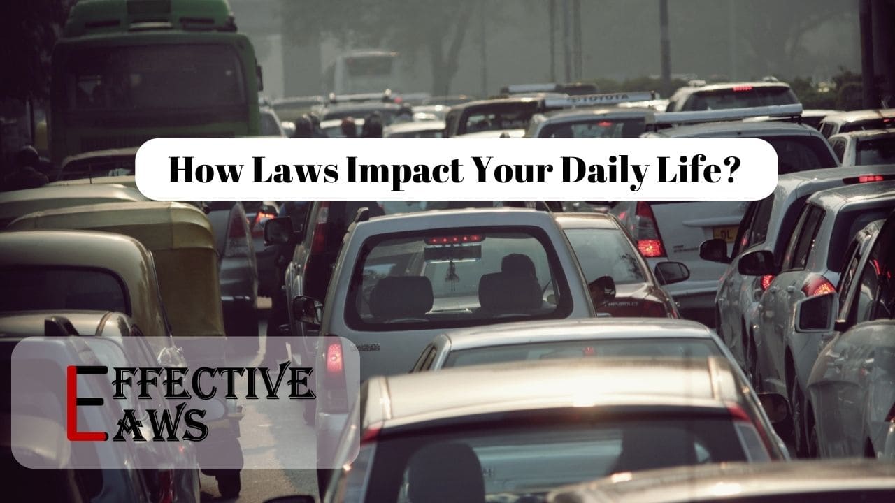 How Laws Impact Your Daily Life