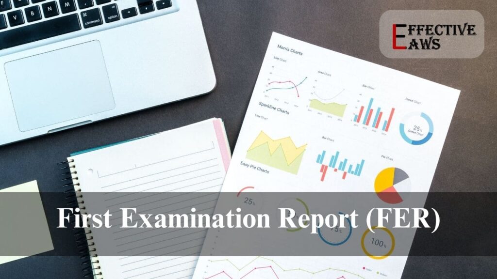 What is First Examination Report (FER)
