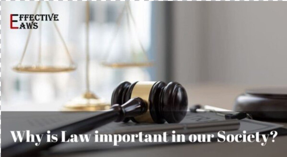 Why is Law important in our Society?